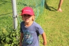 Klicken Sie auf das Bild, um es zu vergrößern Klicken Sie auf das Bild, um es zu vergrößern