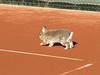 Klicken Sie auf das Bild, um es zu vergrößern Klicken Sie auf das Bild, um es zu vergrößern