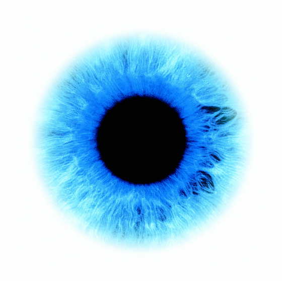 ICU/auge.jpg